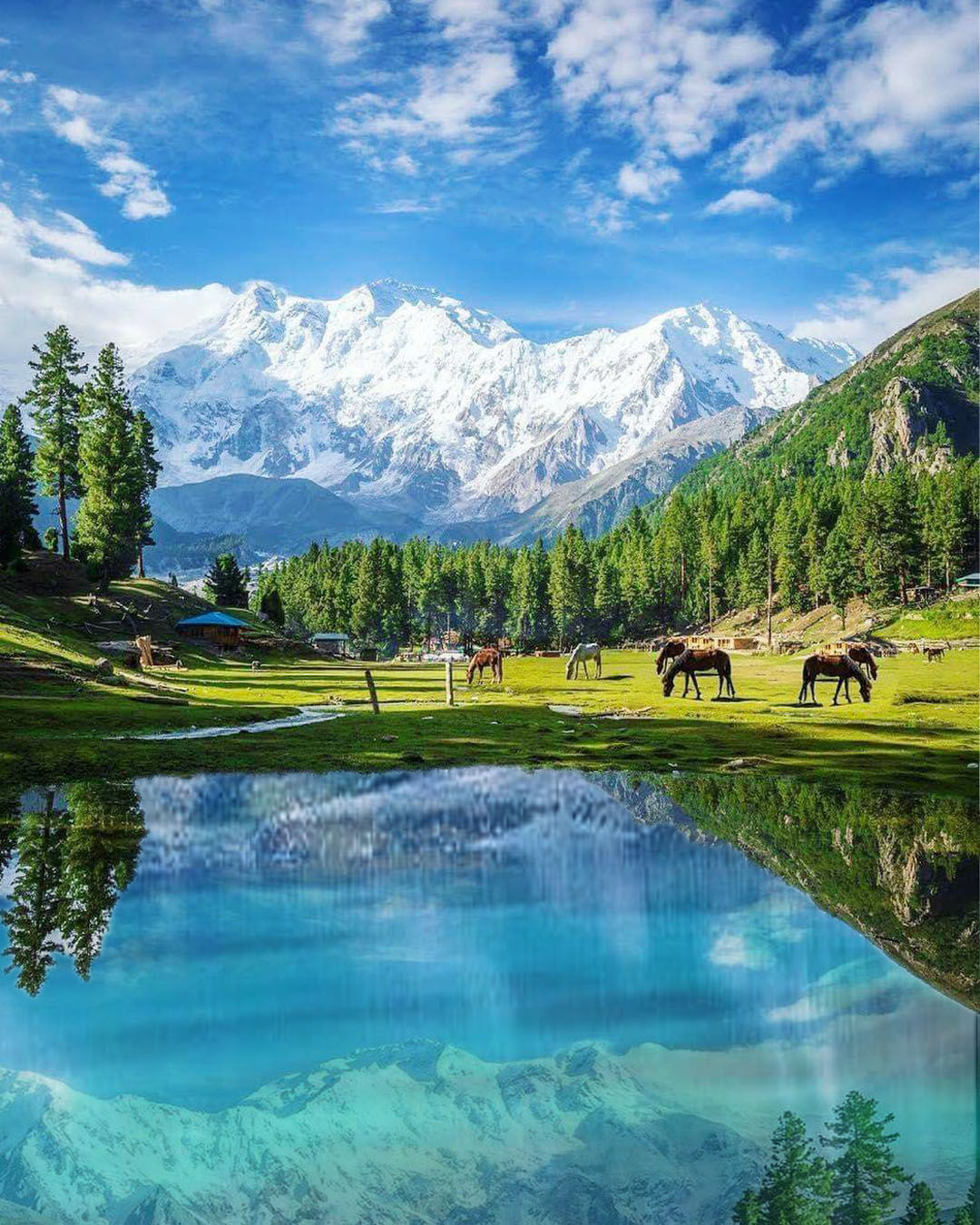 5 Days Fairy Meadows