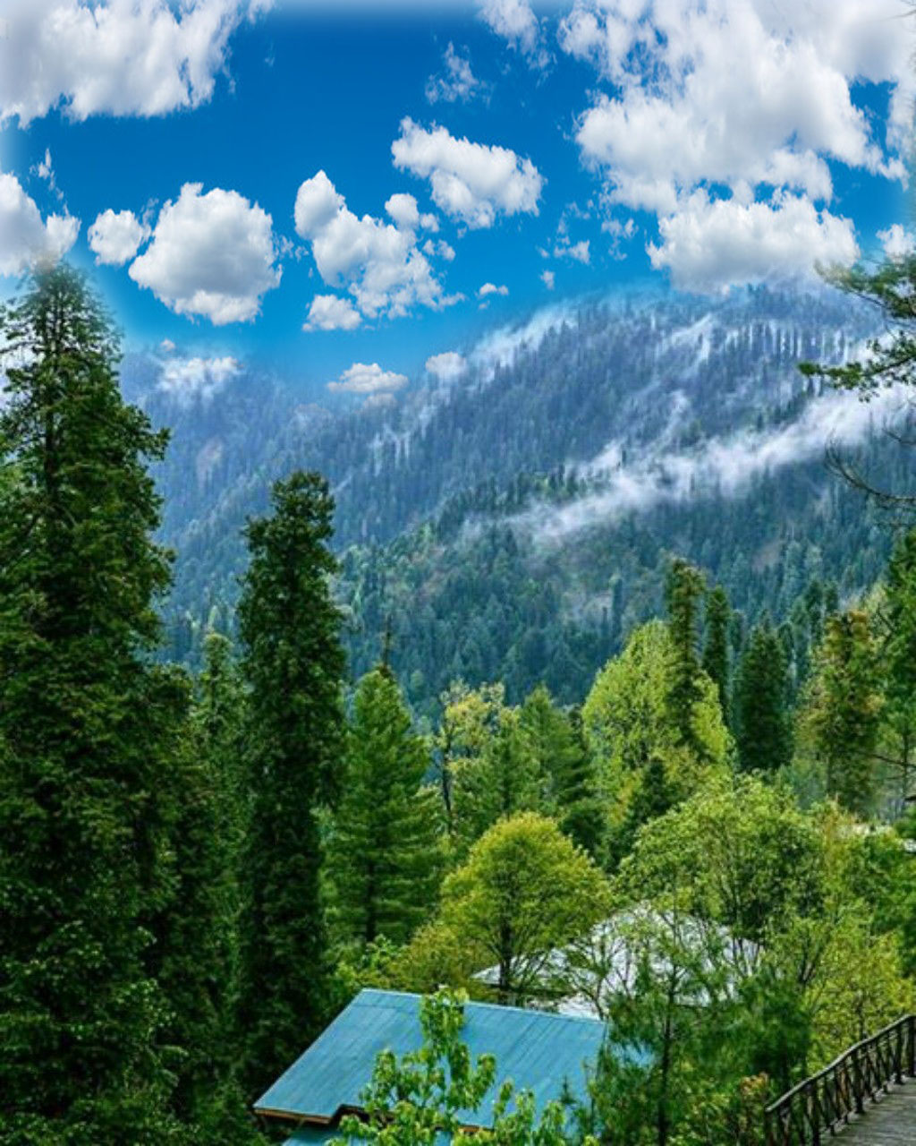 3 Days Murree Galiyat Tour