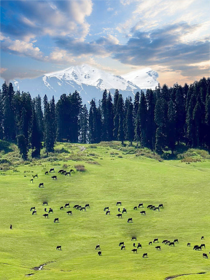 3 Days Kashmir Arangkel